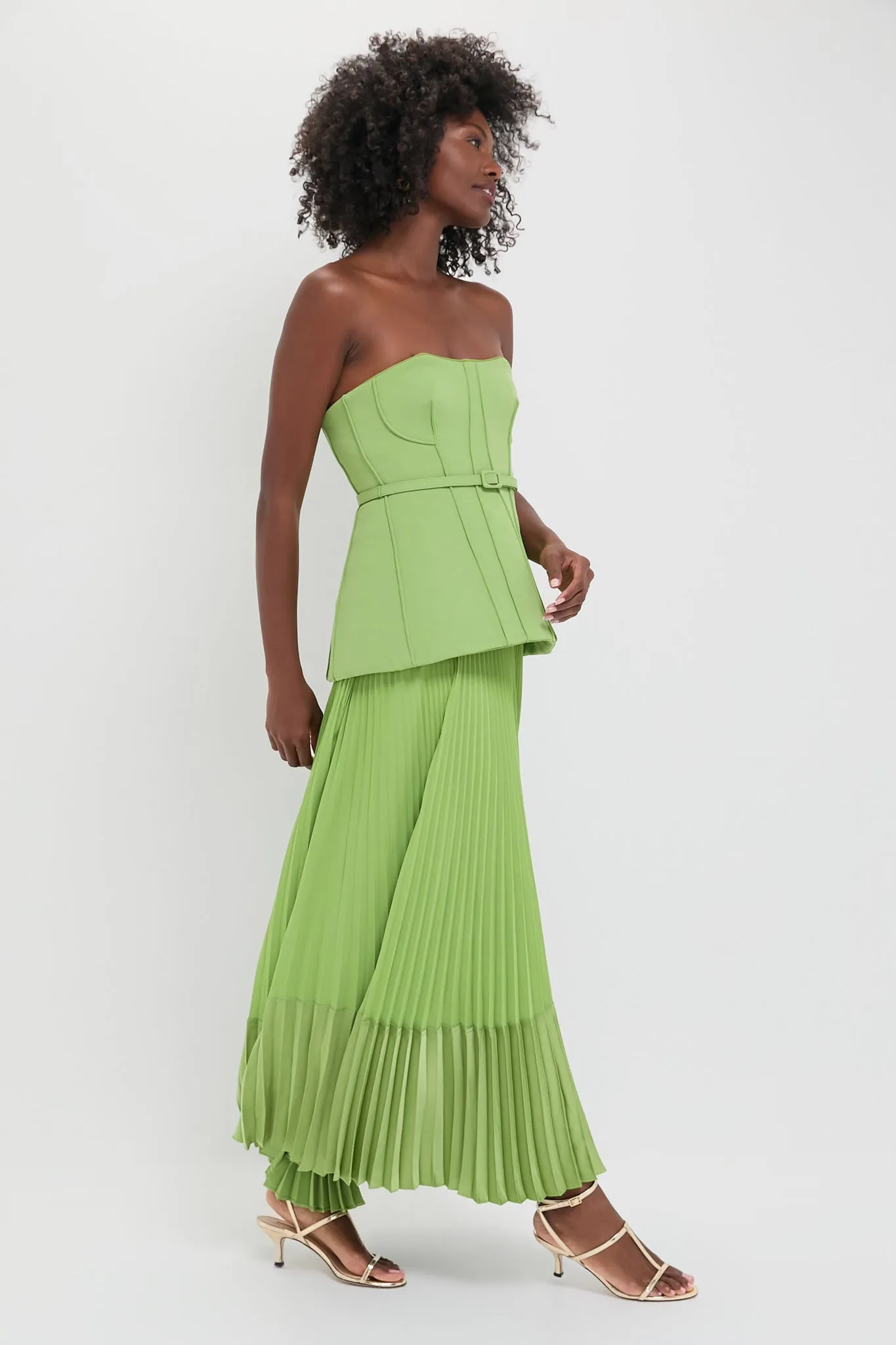 Vine Prisca Bustier Midi Dress